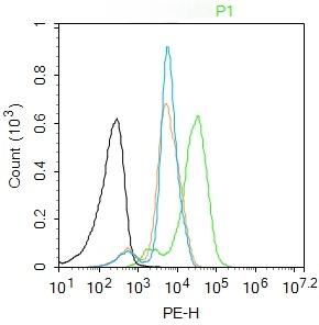 Anti-PPAR alpha/PPARA Polyclonal Antibody 2