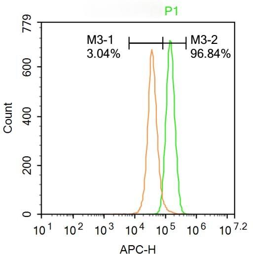 Anti-PPAR delta/beta Polyclonal Antibody