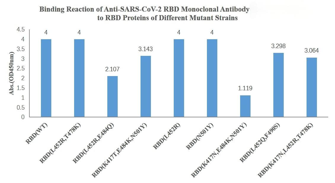Anti-SARS-CoV-2 (2019-nCoV) Spike RBD (WT & Omicron) Antibody (5L277)