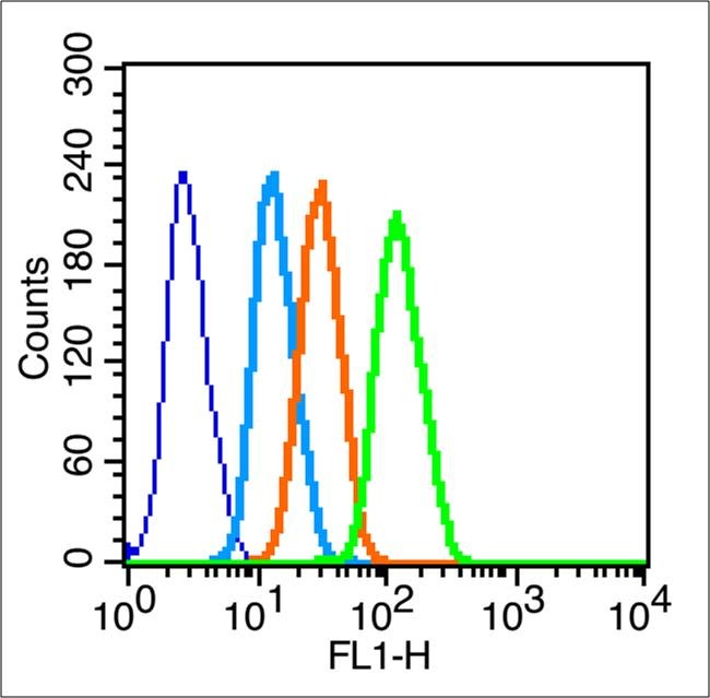 Anti-UCP2 Polyclonal Antibody