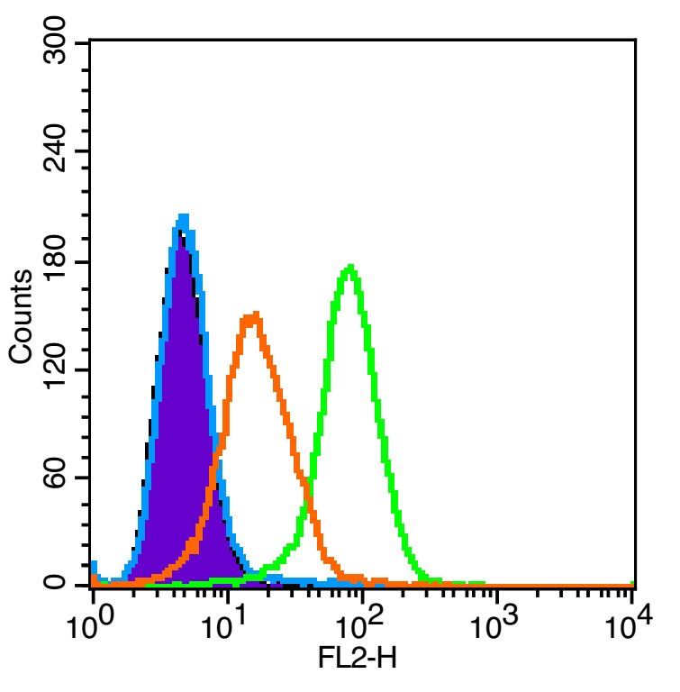 Anti-TREM-1 Polyclonal Antibody