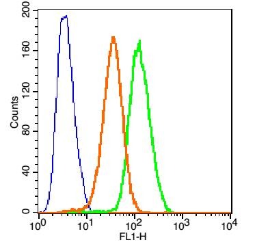 Anti-TNFR1/CD120a/TNFRSF1A Polyclonal Antibody