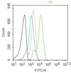 Anti-TNNI3 Polyclonal Antibody