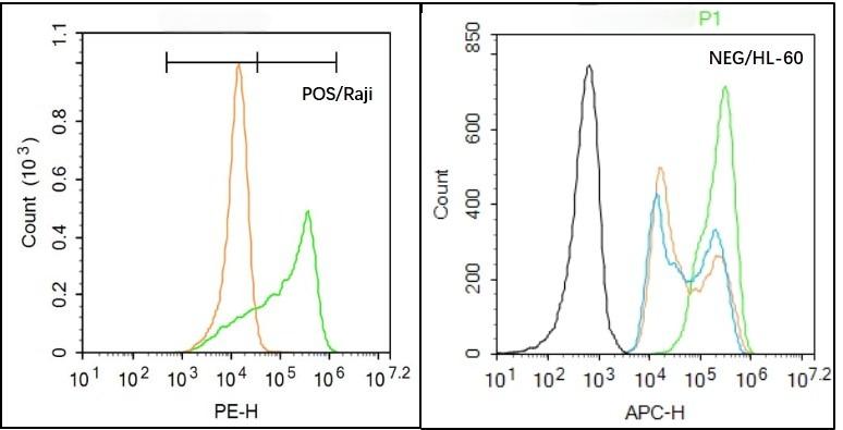 Anti-TRPV4 Polyclonal Antibody