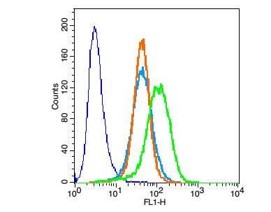 Anti-TnTc Polyclonal Antibody