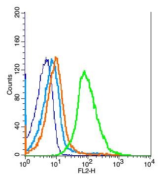 Anti-TLR9 Polyclonal Antibody 2