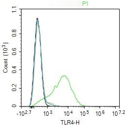 Anti-TLR4 Polyclonal Antibody