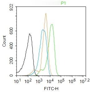 Anti-TGF beta 1/2/3 Polyclonal Antibody