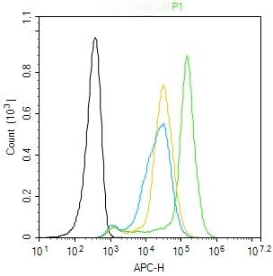 Anti-TIE2 Polyclonal Antibody
