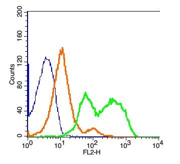 Anti-TYROBP Polyclonal Antibody