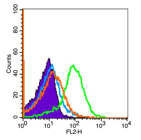 Anti-TREM-1 Polyclonal Antibody 2