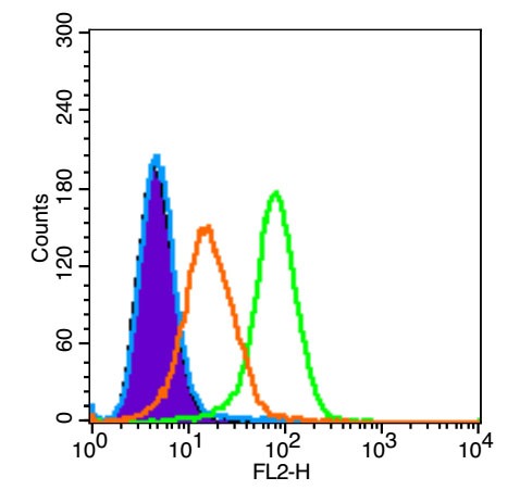 Anti-TREM-1 Polyclonal Antibody