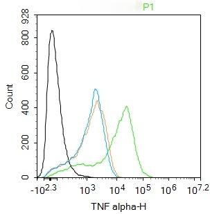 Anti-TNF alpha Polyclonal Antibody 2
