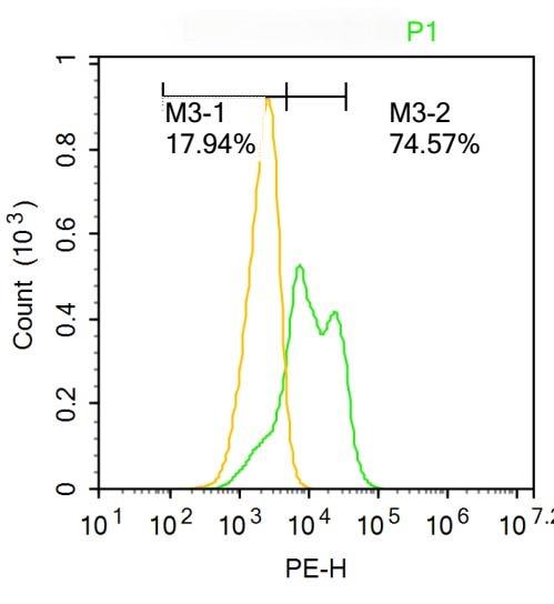 Anti-TnTc Polyclonal Antibody