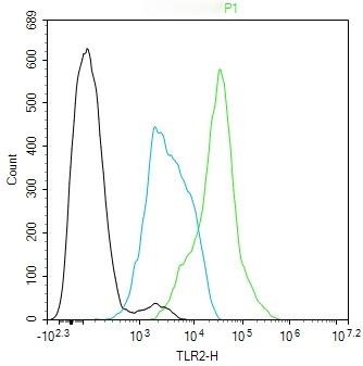 Anti-TLR2 Polyclonal Antibody