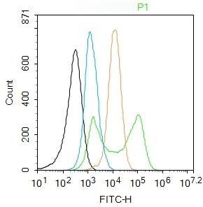 Anti-TLR4 Polyclonal Antibody