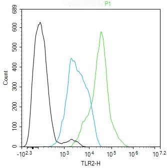 Anti-TLR2 Polyclonal Antibody 2