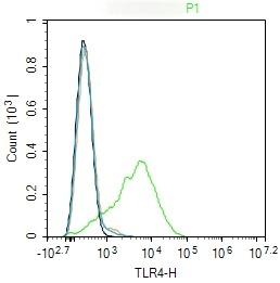 Anti-TLR4 Polyclonal Antibody 4