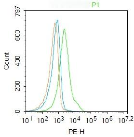 Anti-TM4SF1 Polyclonal Antibody
