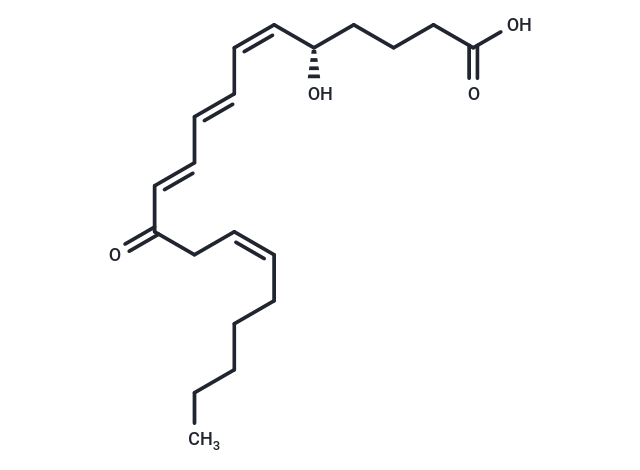 12-oxo Leukotriene B4