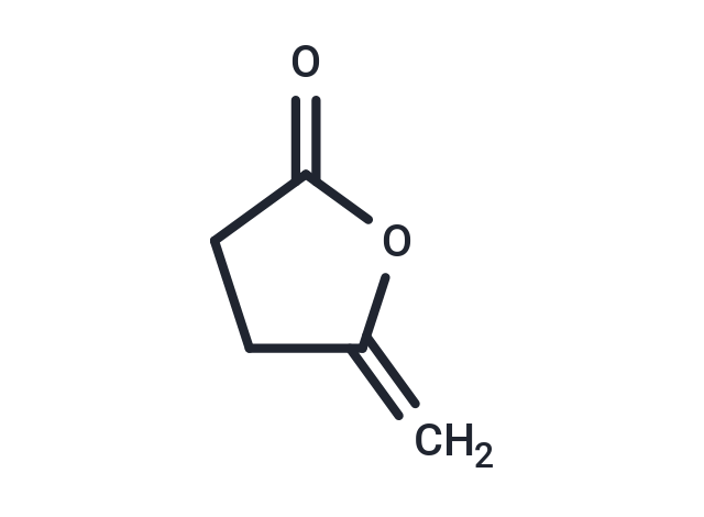 γ-Methylene-γ-butyrolactone