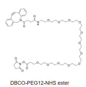 DBCO-PEG12-NHS ester