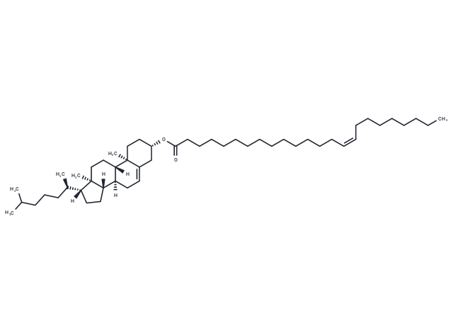 Cholesterol nervonate
