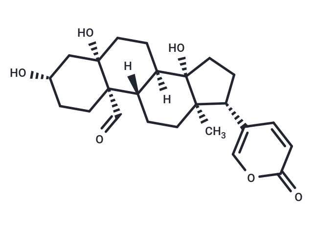 Hellebrigenin