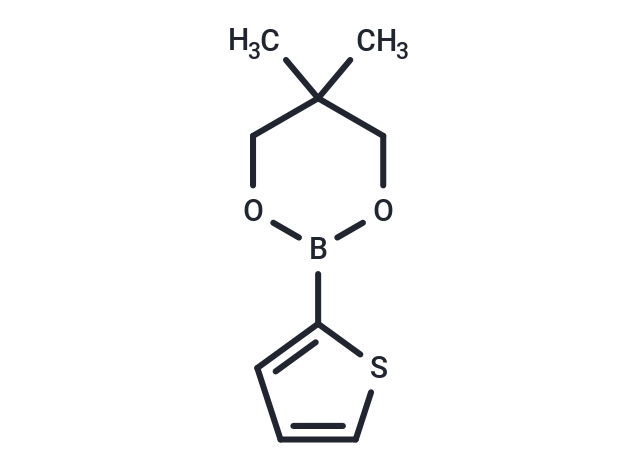 Thiophene-2-boronic acid neopentyl glycol ester