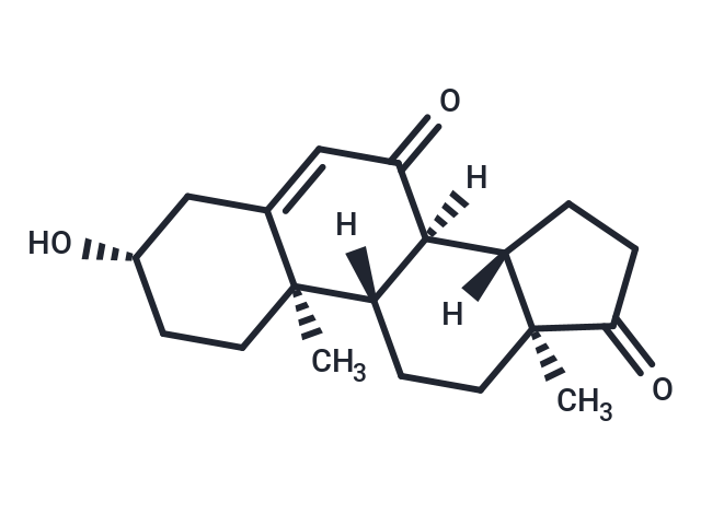 7-Keto DHEA