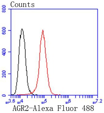 Anti-AGR2 Antibody (7E227)
