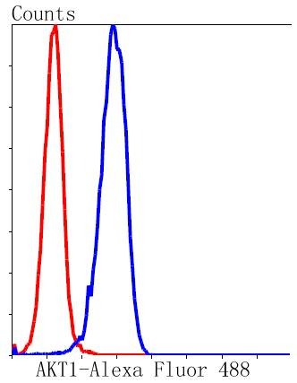 Anti-AKT1 Antibody (2R814)