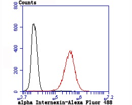 Anti-alpha Internexin Antibody (3U304)