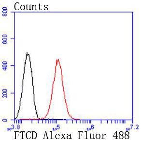 Anti-FTCD Antibody (8U835)