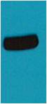 Anti-AmCyan Polyclonal Antibody 2