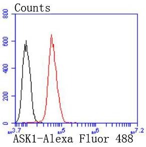 Anti-ASK1 Antibody (3O802)