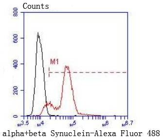 Anti-Alpha/Beta-Synuclein Antibody (5Q165)