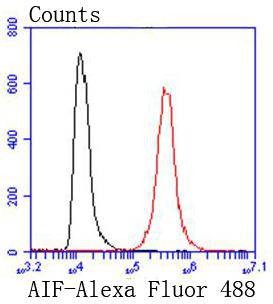 Anti-AIF Antibody (9K13)
