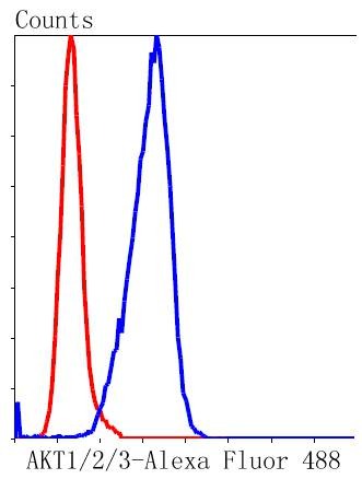 Anti-AKT1/2/3 Antibody (8U152)