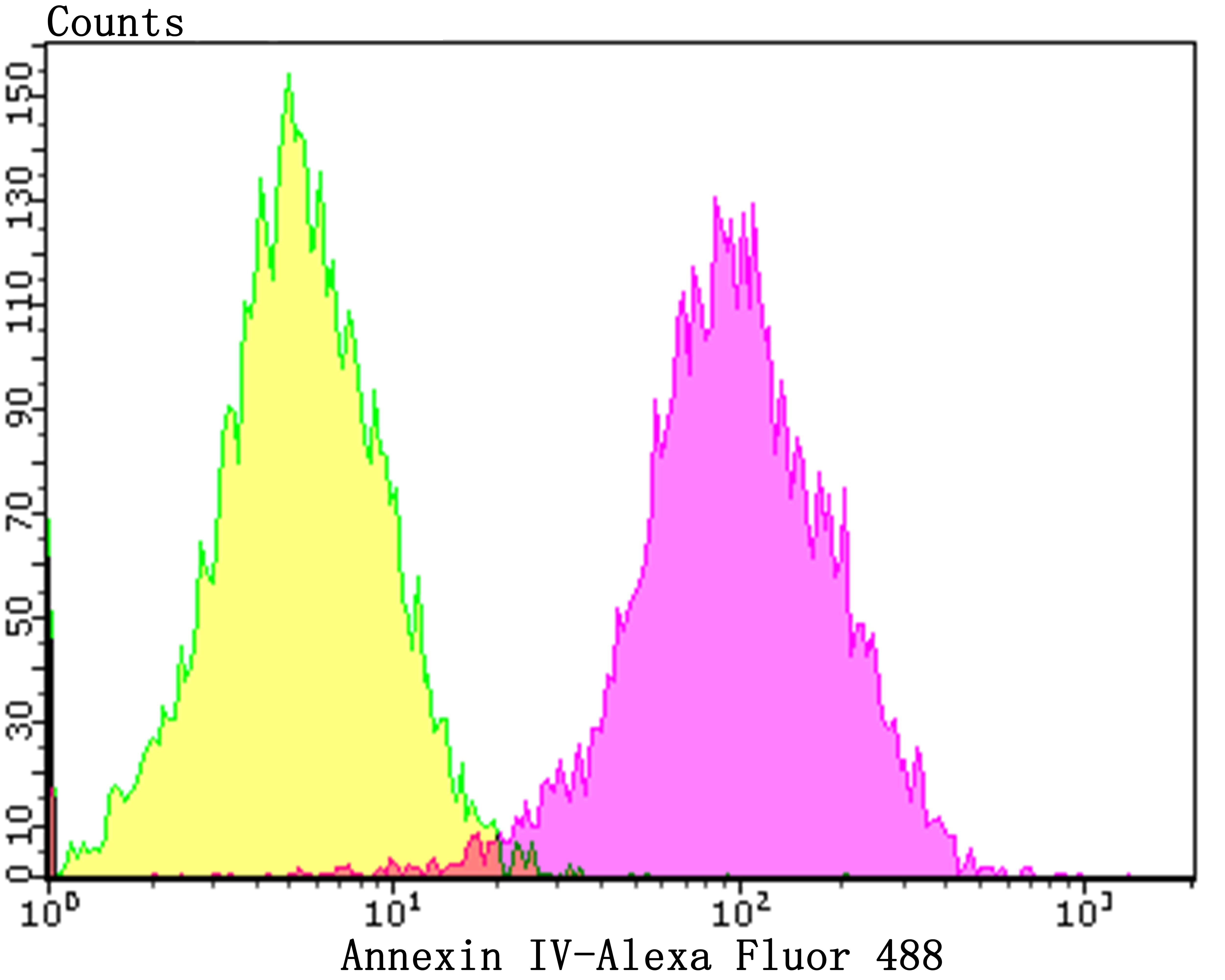 Anti-ANXA4 Antibody (3T392)