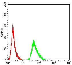 Anti-AMY1A Antibody (3A532)