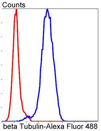 Anti-TUBB Antibody (7E2)