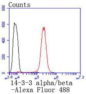 Anti-14-3-3 beta/alpha Antibody (6Z701)