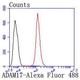 Anti-ADAM17 Antibody (6O847)