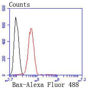 Anti-BAX Antibody (1J827)