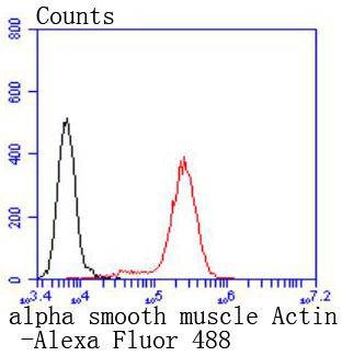 Anti-ACTA2 Antibody (3G548)