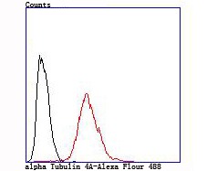 Anti-alpha Tubulin 4A Antibody (6I357)