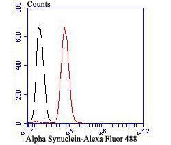 Anti-Alpha-Synuclein Antibody (2M749)