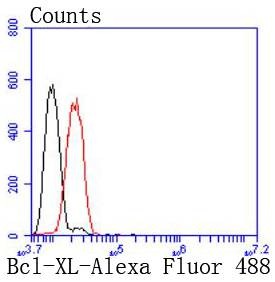 Anti-BCL-XL Antibody (3K493)