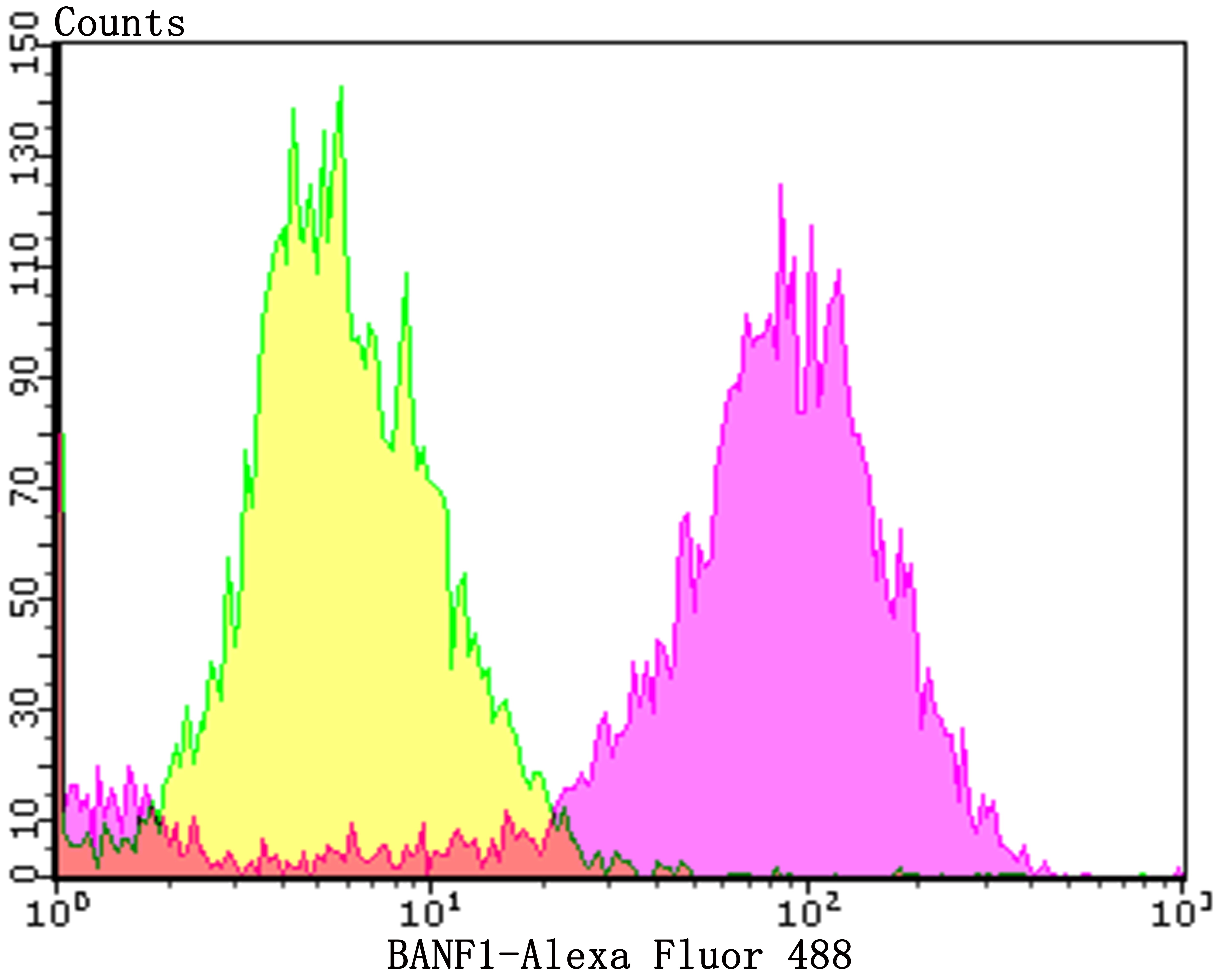 Anti-BANF1 Antibody (6R771)